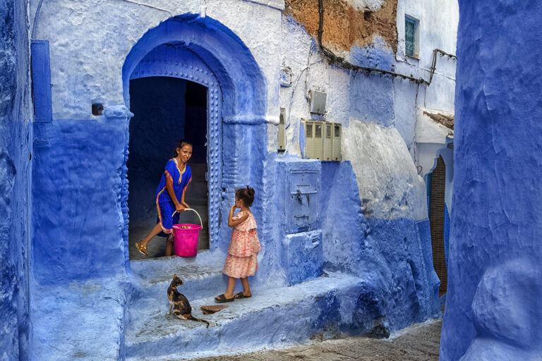 Kids and cat